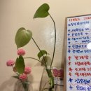 몽마르죠 이미지