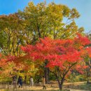 모닝스크린골프장 이미지