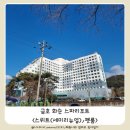 도도 노래연습장 | 금호화순스파리조트 스위트 세미리뉴얼 한실 / 펫룸 내돈내산 후기 부대시설