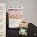 디퓨저 추천_아쿠아 델 엘바 아란치 디퓨저