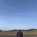 1378 | 제주스냅촬영 야외 커플스냅 추천 표정스냅