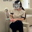 르라움 이미지