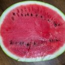 행복플러스태양광발전소 이미지