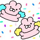 창성상회 이미지