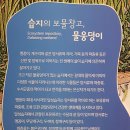 꽁이 - 중구 목중로 37 | 꽁이