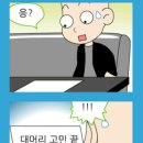 폼생폼사 이미지