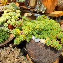 푸르미농장 이미지