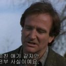 스팅업