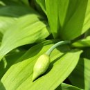 기명농장 이미지