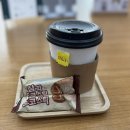 3741 | 대전 둔산동미용실 헤어클리닉 추천 "비안이즈 대전둔산트랜드점"