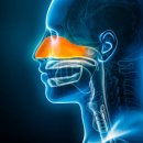 삼백초한의원 이미지