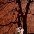 용산-221 | 용산 미군기지 봄 웨딩스냅 촬영 후기