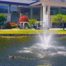 메디칼밸리 이미지