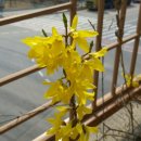 하길문화공원 이미지