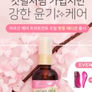 엘헤어 이미지