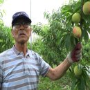 이종식농장 이미지