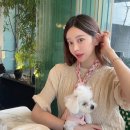 까르띠에 저스트앵끌루 팔찌 다이아몬드 착용샷 - 퍼스널쇼퍼랑 웨이팅 없이 구매 후기