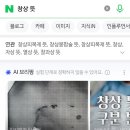 금양이(금쪽 같은 내 고양이) | [손 꿰맨 후기] 이런 금쪽이 또 없습니다?
