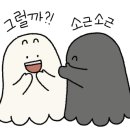 거보컬렉션