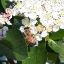 일꾼농장 이미지