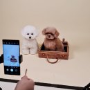 스마트폰 사진촬영과 SNS 활용 이미지