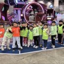 화창태권도장 이미지