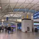 1101 | 인천공항 셀프 수하물 제주항공 나리타 체크인 왕복 탑승 후기 7C1101, 7C1108