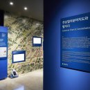 강화서로 이미지