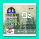 용인대 청룡 태권도장 이미지