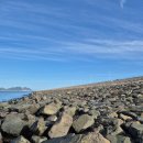 11545-10-24-20 | 새만금 출조 후기 (24/10/20) <풀치>