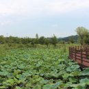 주암호 생태습지 이미지