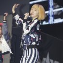 엉뚱발랄 이미지