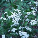 내곡동408 이미지