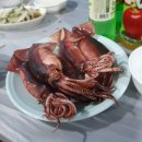 씨송펜션 이미지