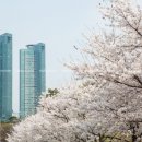 4 계절 네이버블로그