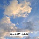 성당손한의원 네이버블로그