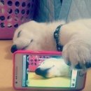 느낌있는 걸 이미지