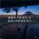 서울건탑재활의학과의원 네이버블로그