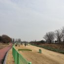 송백리어르신체육시설 파크골프장 | 진천 파크골프장 이용 후기 / 주말에 즐기기 좋은 생활 스포츠(2026.01.27)