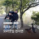 천지연랜드 | 폭포 구경보다 오리 구경하느라 신이 났던 천지연 나들이