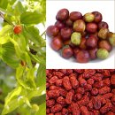 봉정농장 이미지