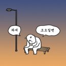 불날개.닭발 이미지