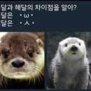 정이채소밥상