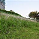 동남공원 이미지