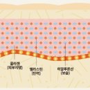 서울에이치피부과의원 이미지