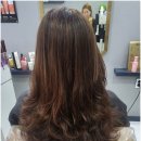 코코헤어 이미지