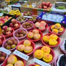 신선청과 이미지