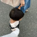 베고자니앤카페다울 | 아가랑 첫 홍천여행👶🏻