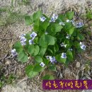 여난농장 이미지