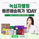 웰빙데이